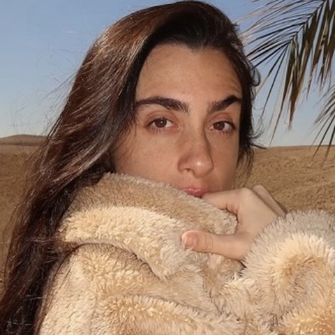 מאי מיטל